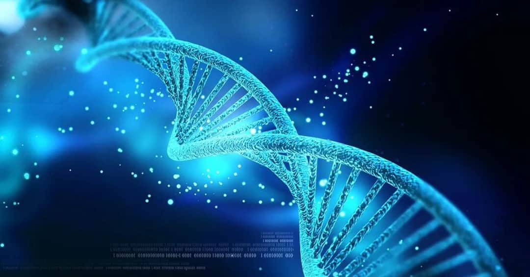 Kto odkrył DNA? Odkryj tajemnice współpracy naukowców