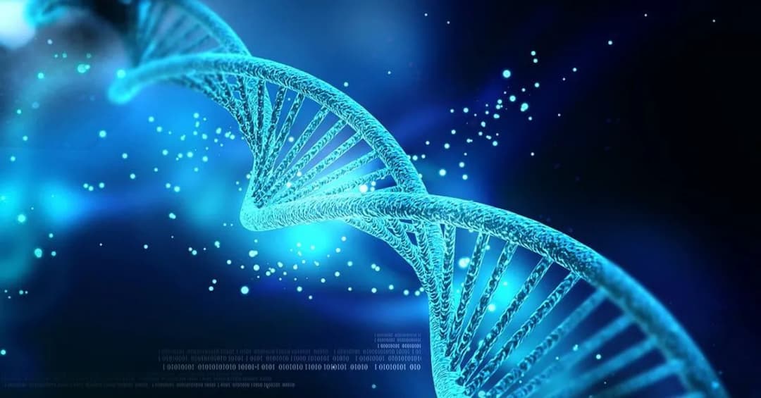 Kto odkrył DNA? Odkryj tajemnice współpracy naukowców