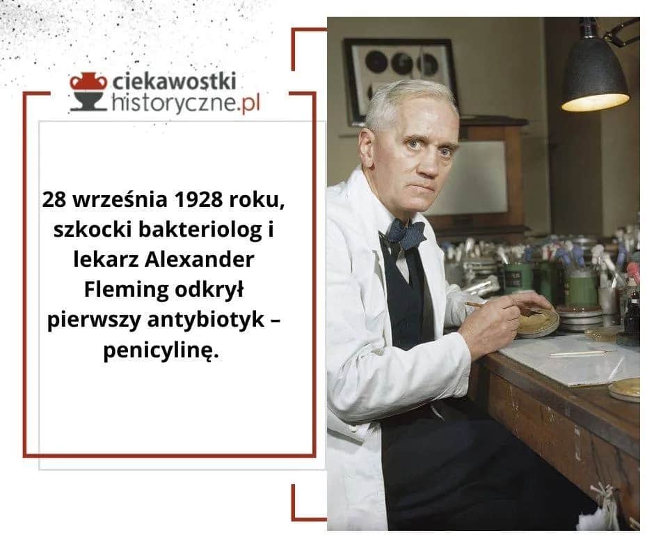 Kto odkrył bakterie? Zaskakujące fakty o pierwszym odkryciu mikroorganizmów