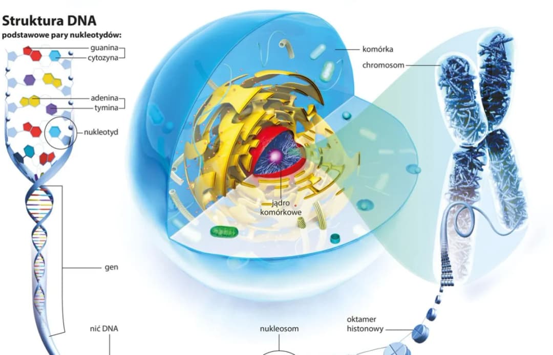 Odkrycia biologiczne, które zmieniły świat i wpłynęły na nasze życie